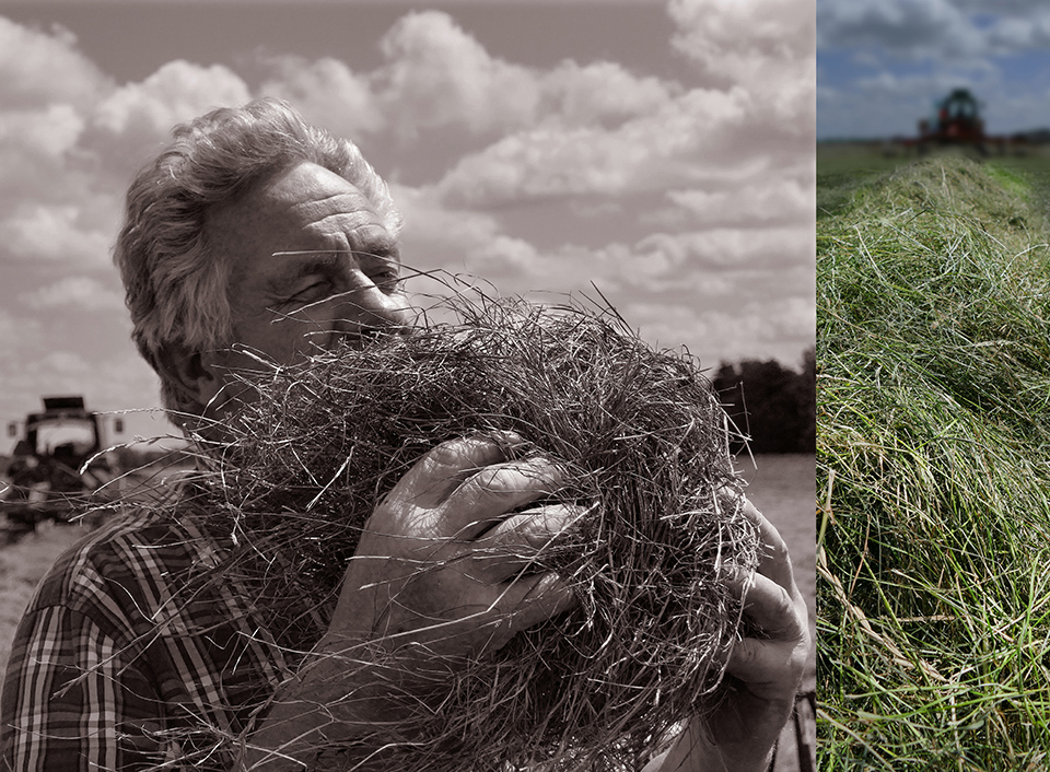 Bob van Zalm - Farmers' portraits Bob van Zalm - Farmers' portraits