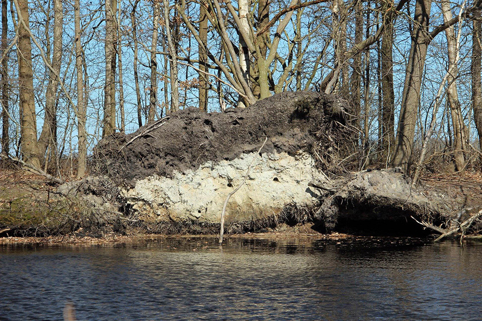 Harry Kiewiet 5 kingfisher nesting banks