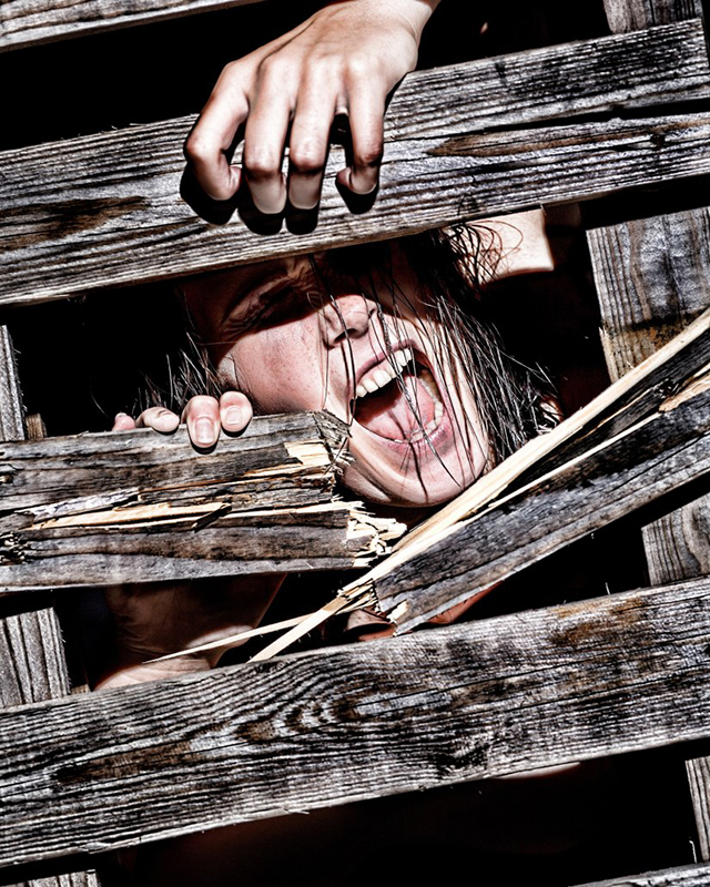 Model behind pallet