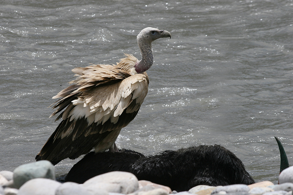 IMG 7977 IMG 7977