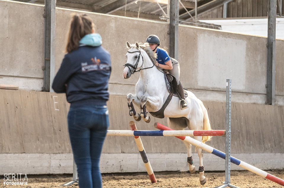 Serita Vossen moving horses Serita Vossen moving horses