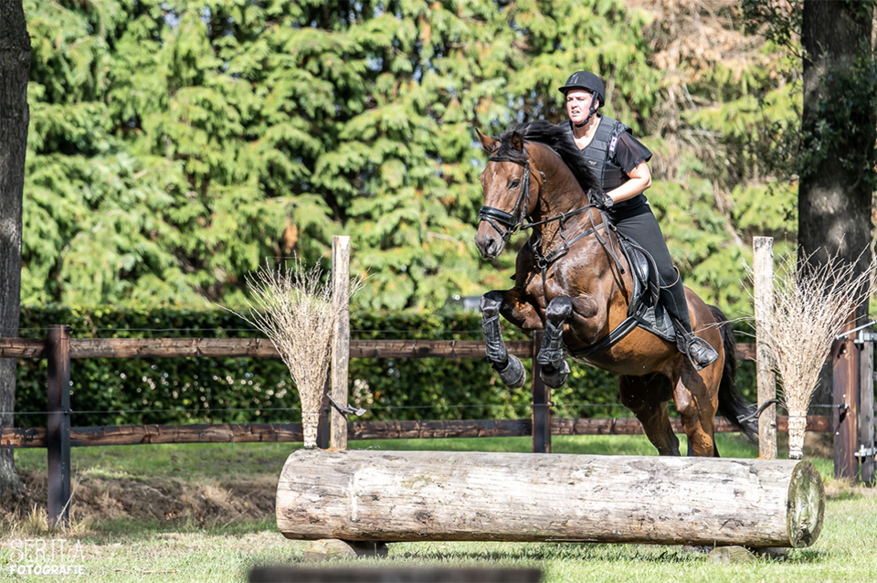Serita Vossen moving horses Serita Vossen moving horses