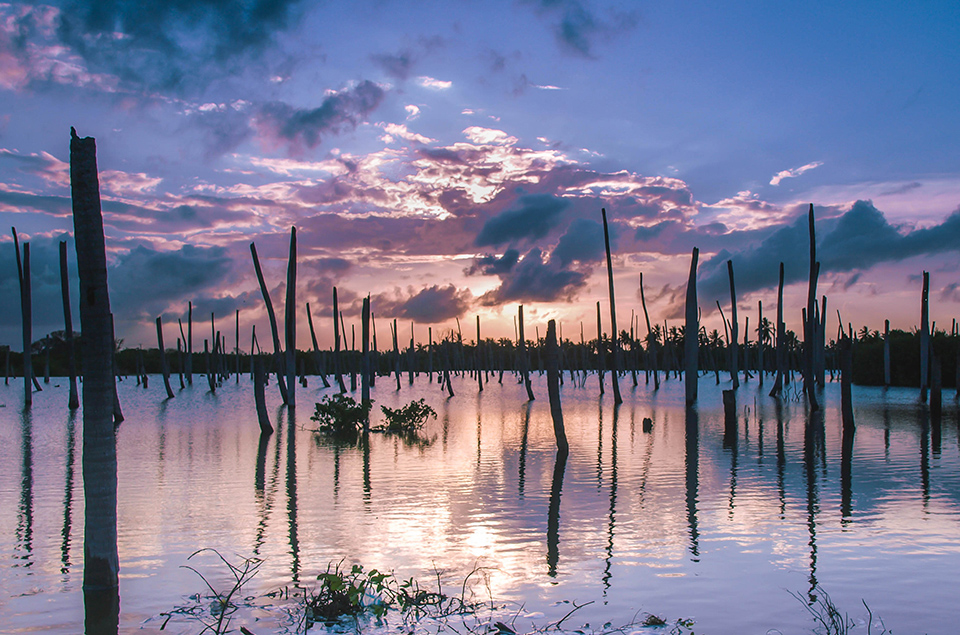 Sunset swamp Punta Cana E520 Sunset swamp Punta Cana E520