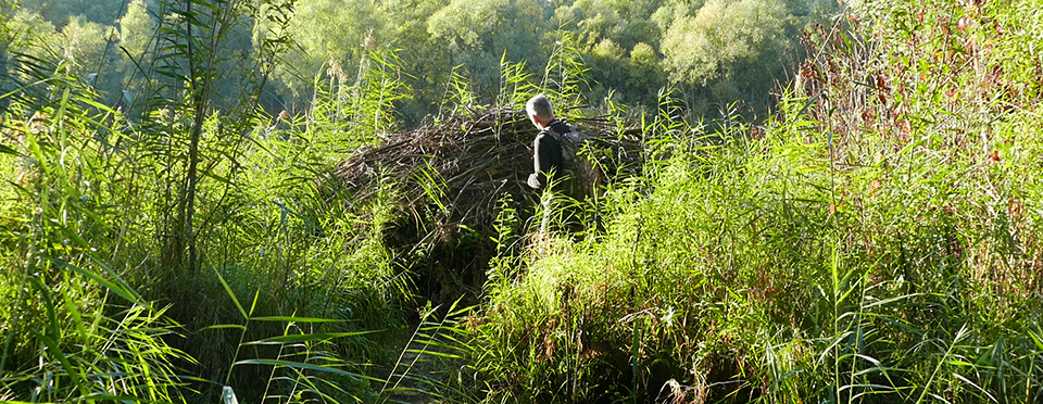 Beaver lodge Beaver lodge