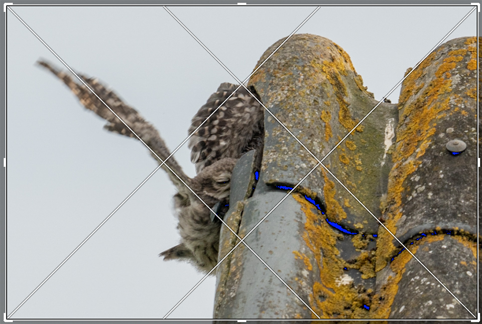 Diagonal method in Lightroom