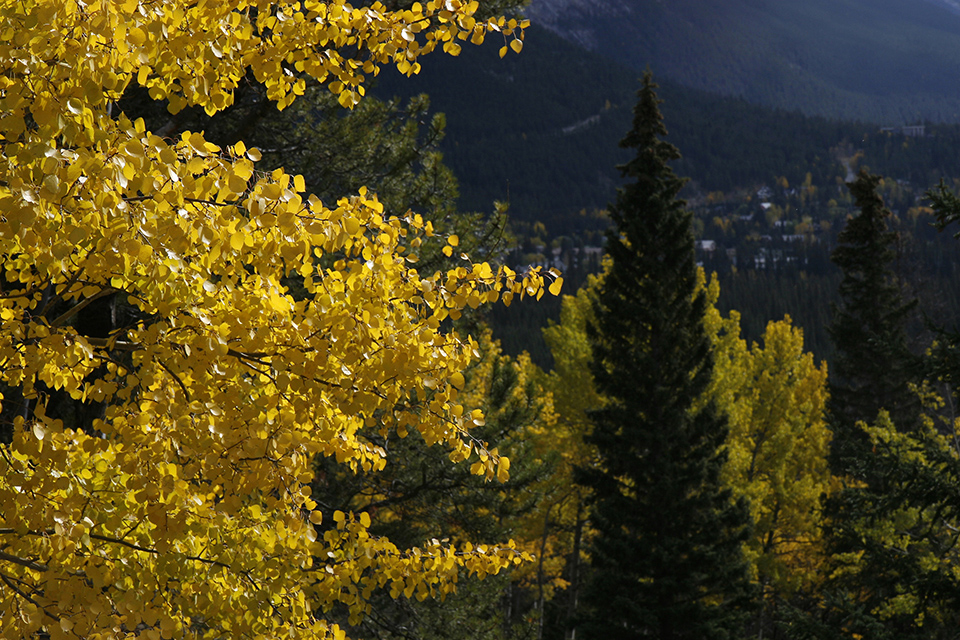 Autumn photo, Indian Summer Autumn photo, Indian Summer