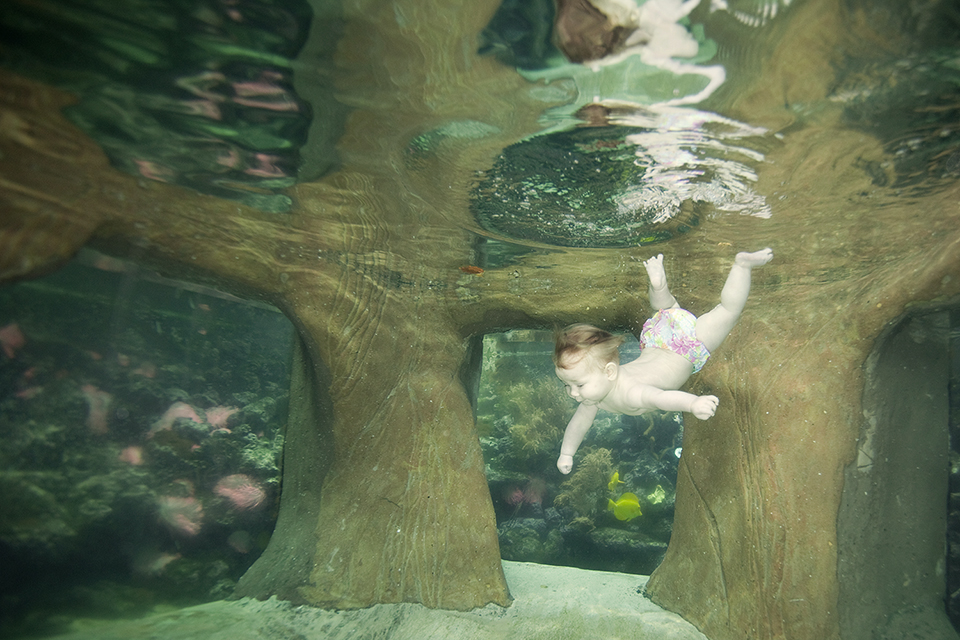 Coral pool Center Parcs