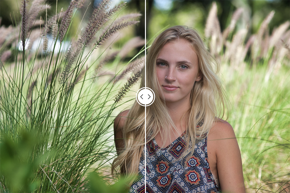 Luminar 3 Accent AI 2 filter Luminar 3 Accent AI 2 filter
