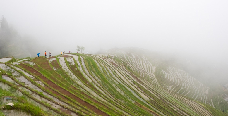 Mountain landscape