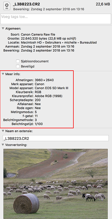 Metadata Metadata