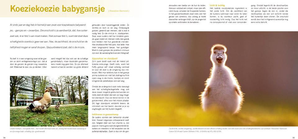 Practical Nature Photography Book NXTLVL Practical Nature Photography Book NXTLVL