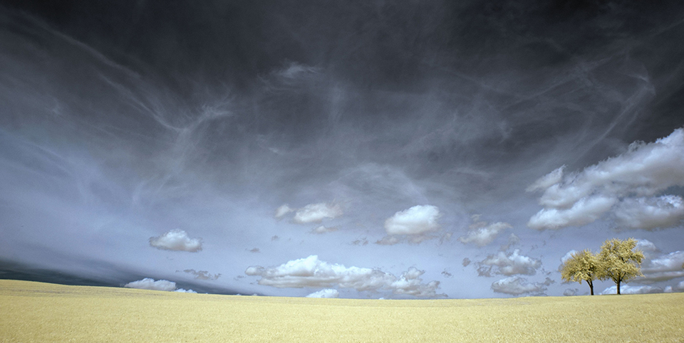 Norbert Fulep photo
