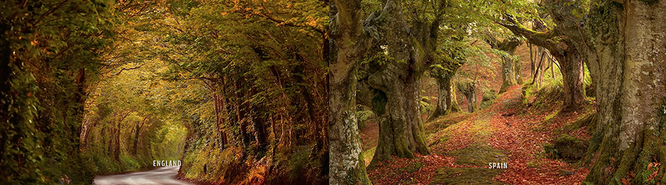 Step into the world of Lars van de Goor 3