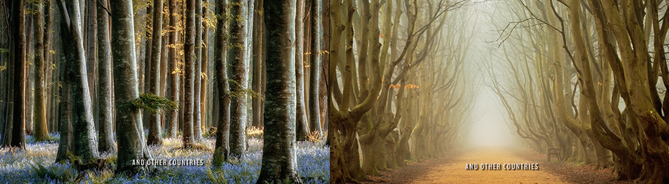 Step into the world of Lars van de Goor 4