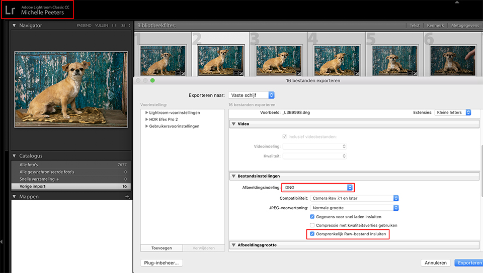 Exporting to DNG from Lightroom Exporting to DNG from Lightroom
