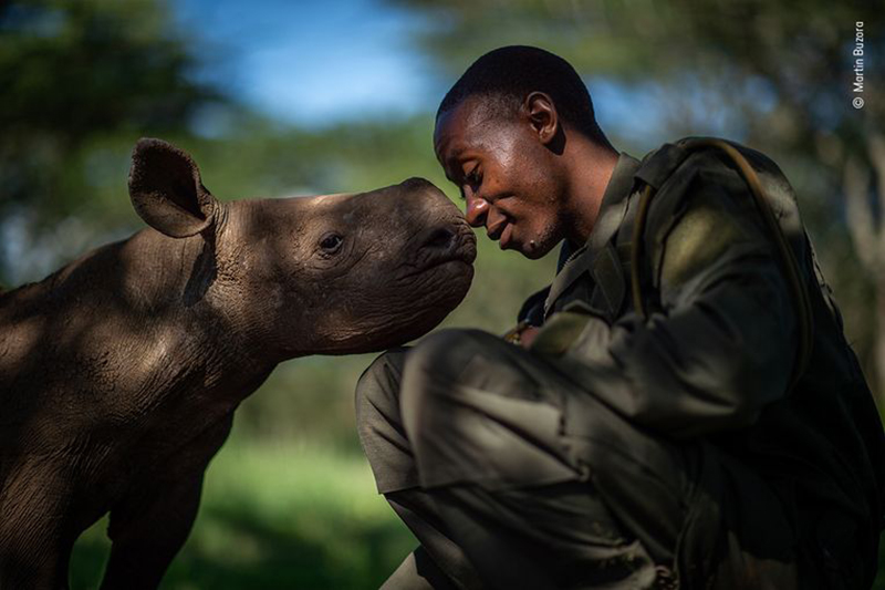 Wildlife photographer of the year 4 Wildlife photographer of the year 4