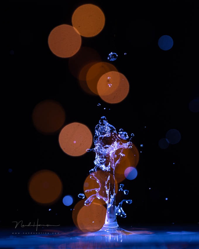 2024 nando drop bokeh 2024 nando drop bokeh