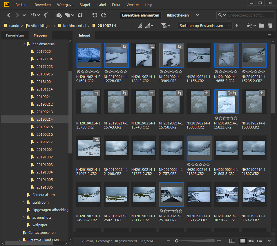 File view in Bridge File view in Bridge