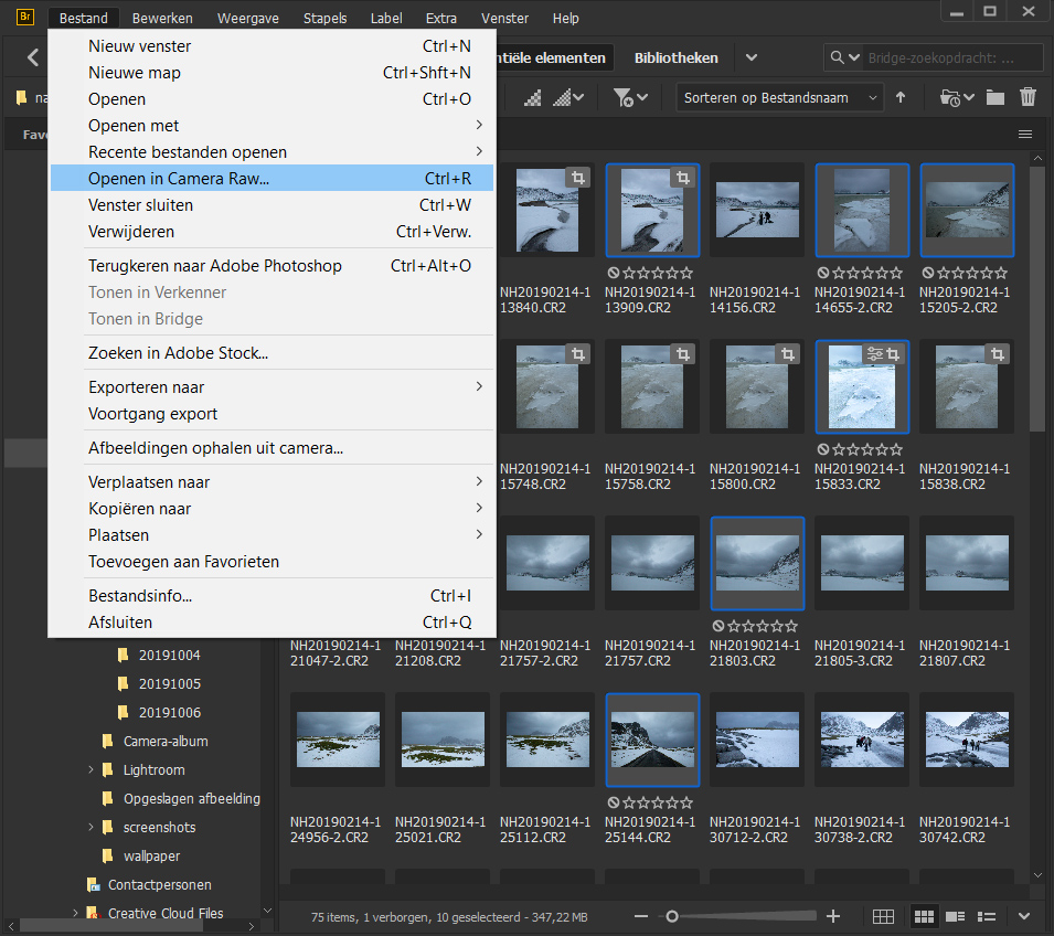 Open in Camera Raw Open in Camera Raw