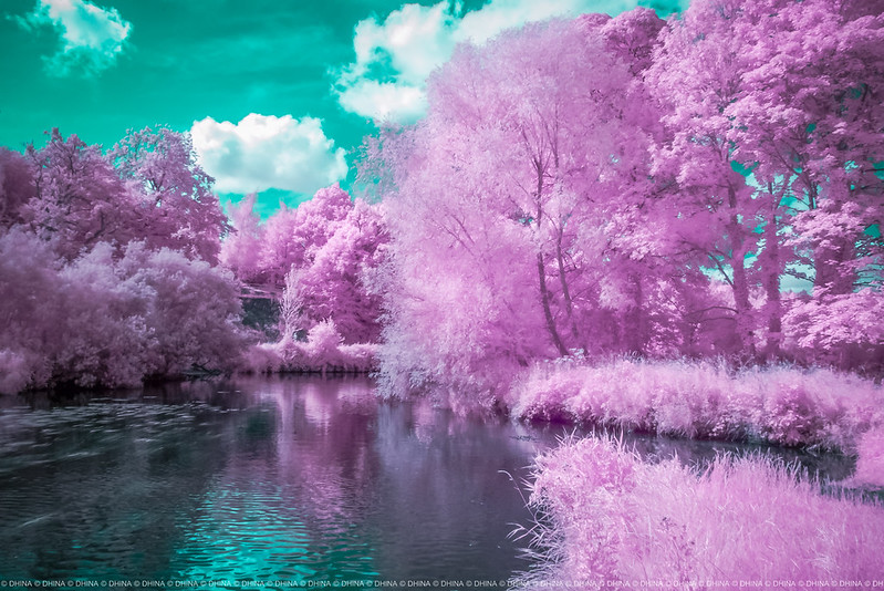 Dhina IR nature IR filter Dhina IR nature IR filter