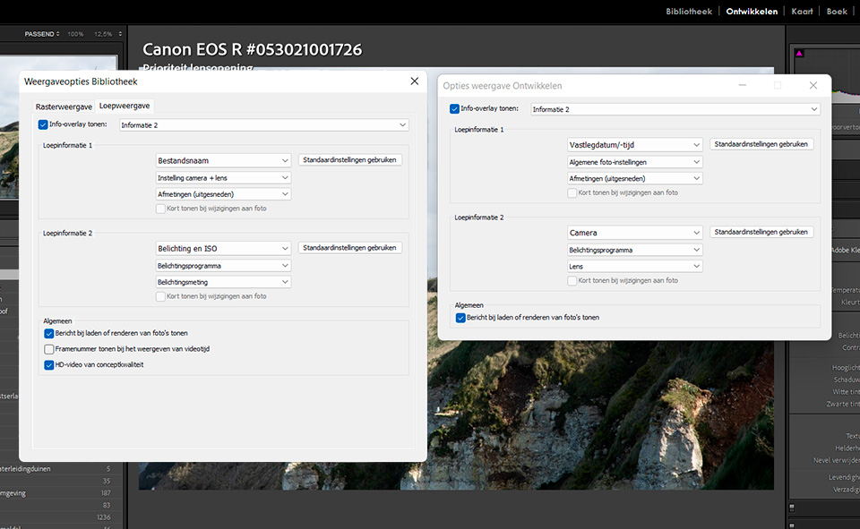 LrC update loupe view