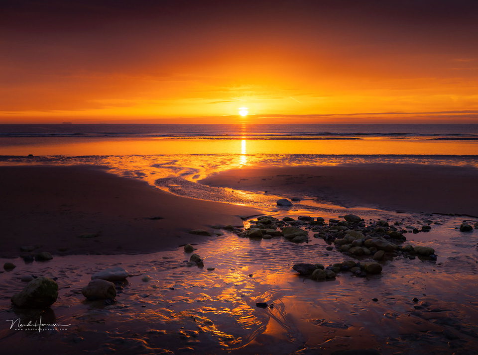 Nando horizon golden ratio