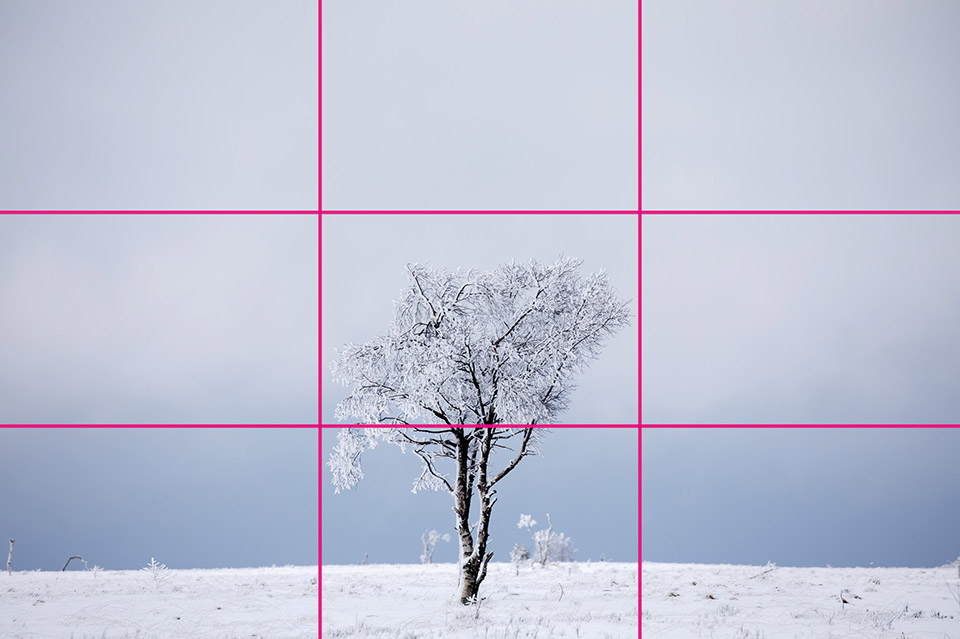 Composition guide lines thirds 12