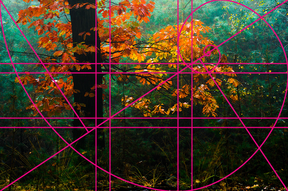Composition guide lines