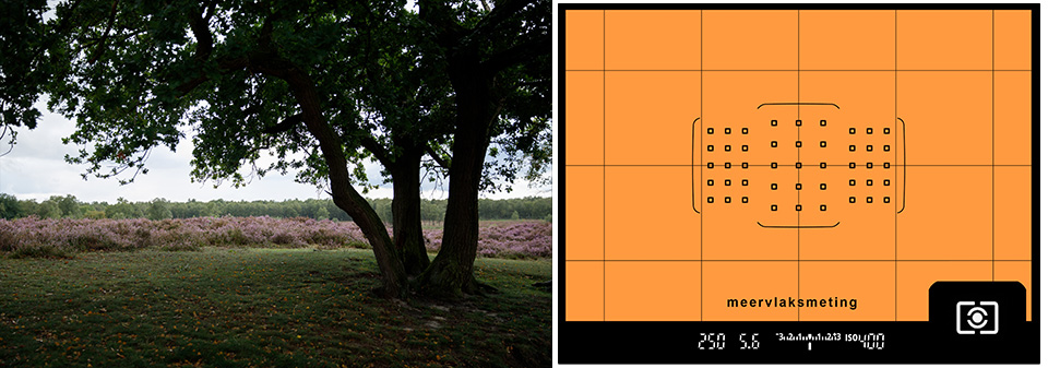 Multi-segment metering Multi-segment metering