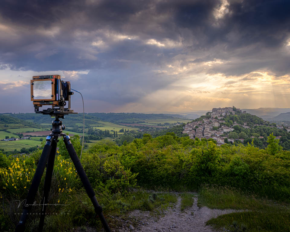 Nando 2025 large format photography 2 Nando 2025 large format photography 2