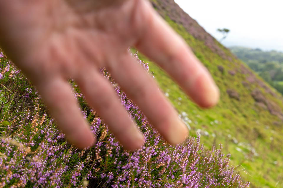 Nando 2025 hand in front of the lens Nando 2025 hand in front of the lens