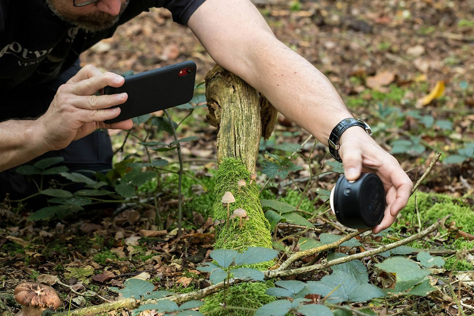 The Profoto C1plus flash is designed specifically for smartphone photography. It makes it possible to improve the quality of the light. The Profoto C1plus flash is designed specifically for smartphone photography. It makes it possible to improve the quality of the light.
