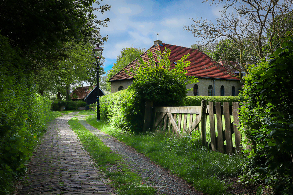 Nando EOS M50 II Nes path