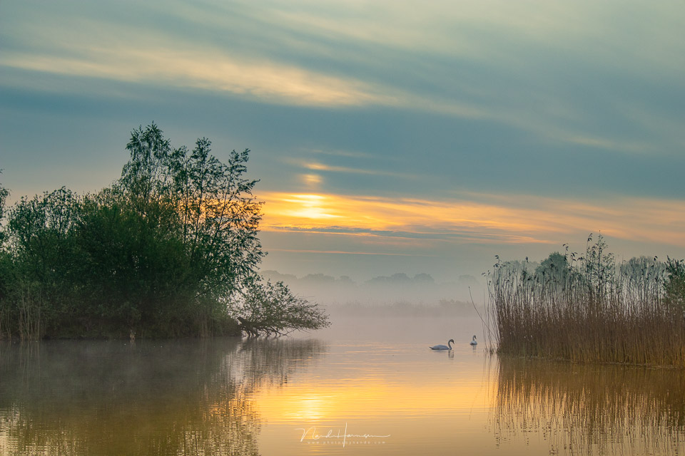 Nando EOS M50 II sunrise with mist