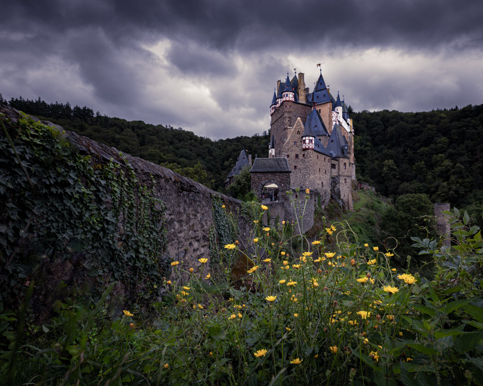 Nando Eltz perspective