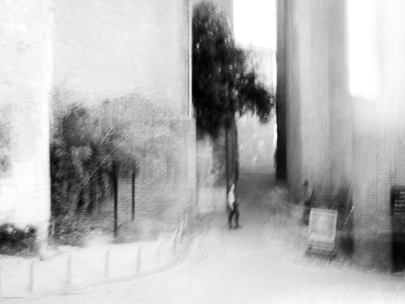 Nando ICM for dull grey weather Nando ICM for dull grey weather