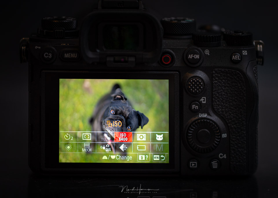 Nando ISO Sony A1 Nando ISO Sony A1