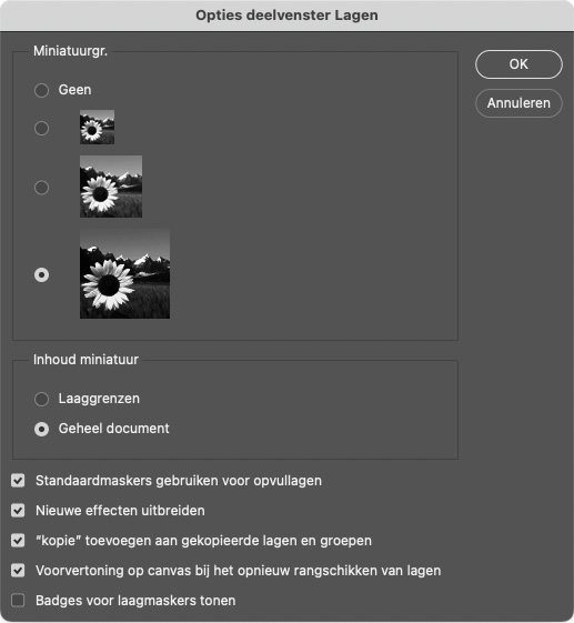 Photoshop panel options Photoshop panel options