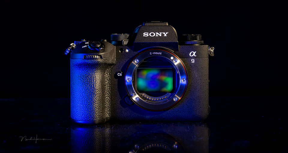 Nando a9mark3 portrait