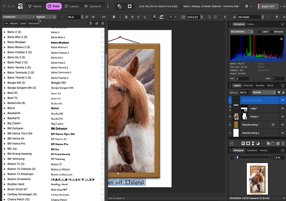 Nando Affinity fonts Nando Affinity fonts
