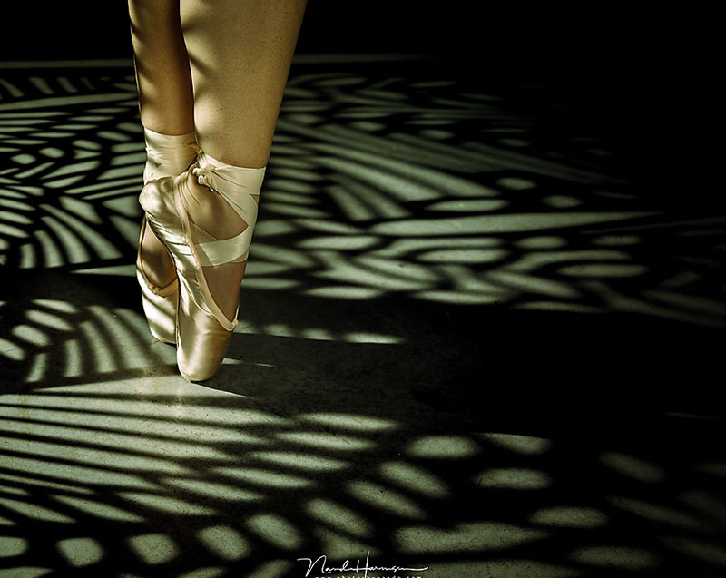 Nando ballerina shadow Nando ballerina shadow
