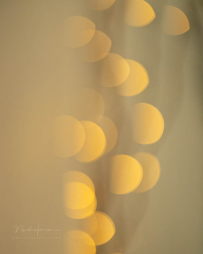Nando bokeh and shutter 3 Nando bokeh and shutter 3