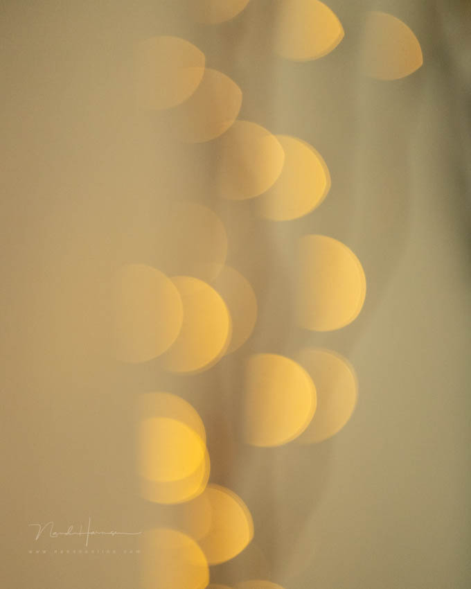 Nando bokeh and shutter 4 Nando bokeh and shutter 4