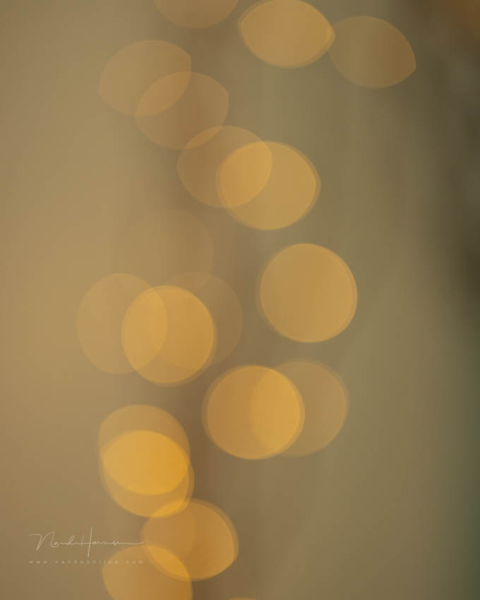 Nando bokeh and shutter 5 Nando bokeh and shutter 5