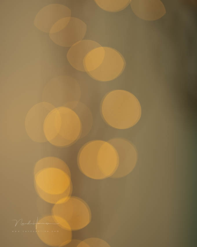 Nando bokeh and shutter 6 Nando bokeh and shutter 6