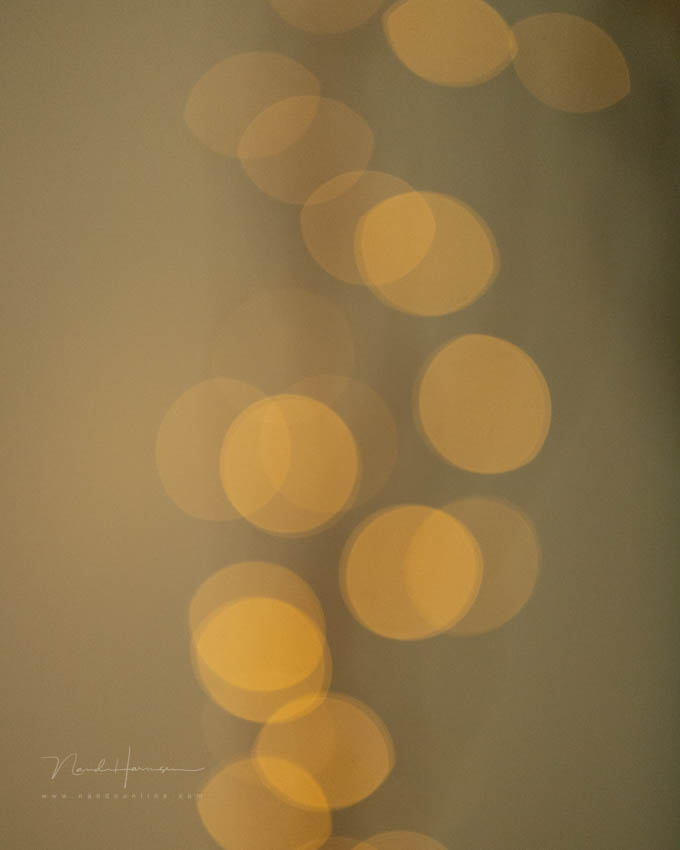 Nando bokeh and shutter Nando bokeh and shutter