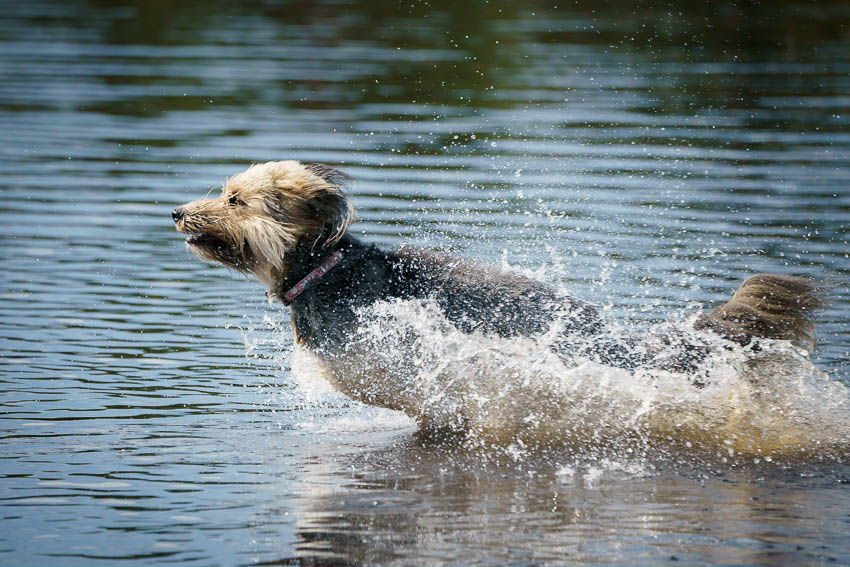 Nando Bruc in water 02
