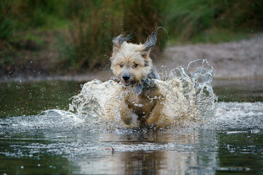 Nando Bruc in water 03