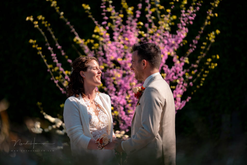 Nando wedding FE50 150GM 5