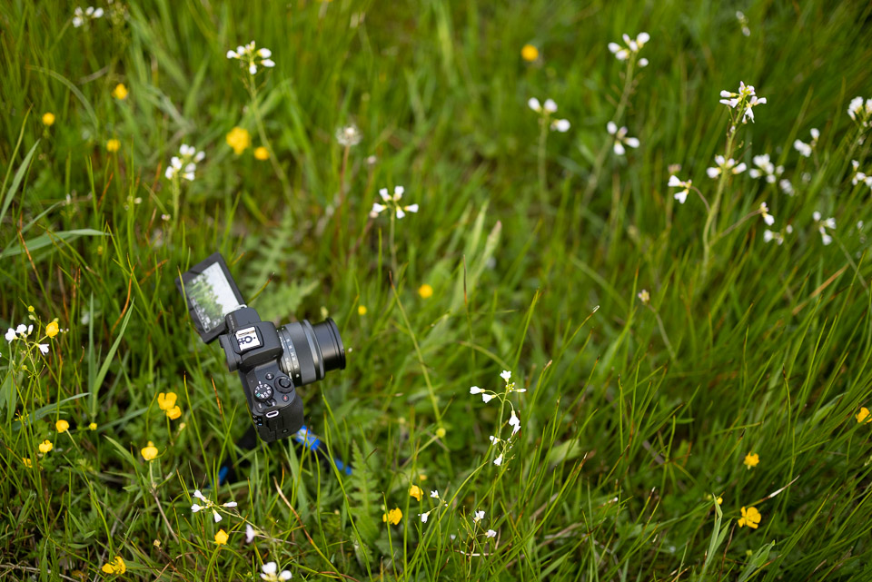 Nando camera choice content creator Nando camera choice content creator
